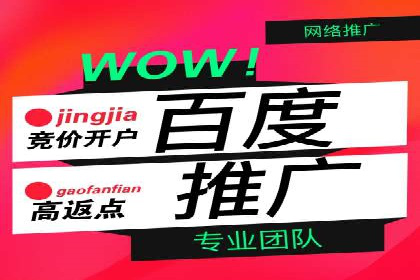 百度联盟营销：案例分享如何实现精准广告投放